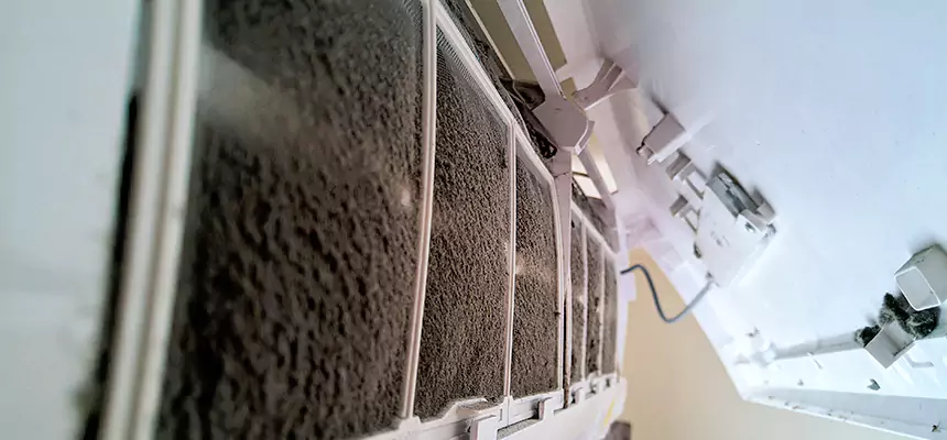 Preventive Air Duct Bacteria Removal in Bossier City