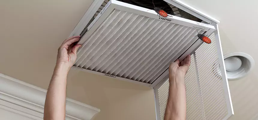 Preventive Cockroach-Proofing for Ducts in Bossier City