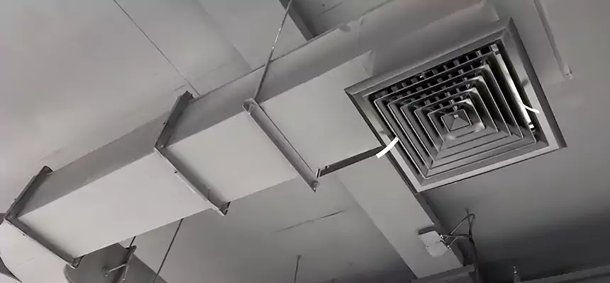 Restorative Allergy Relief Vent Cleaning – Coil, Blower & Housing Detail in Bossier City