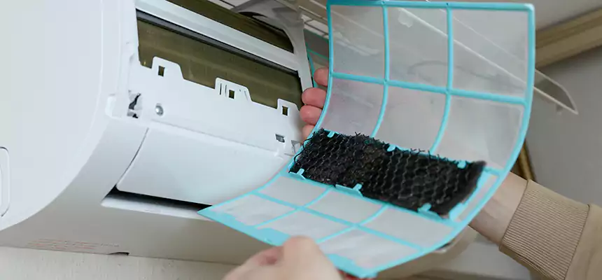 Gentle Ductwork Odor-Control Pet Dander Duct Cleaning in Bossier City, LA