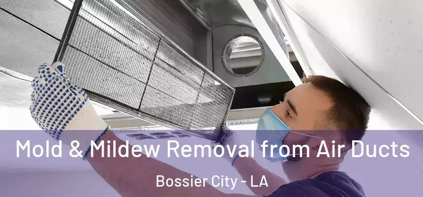  Mold & Mildew Removal from Air Ducts Bossier City - LA