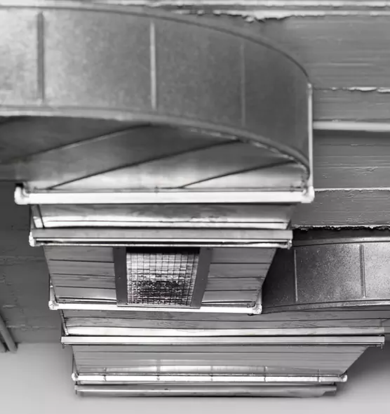 Professional Air Duct Pest Removal in Bossier City, LA