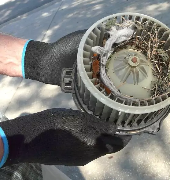 About Air Duct Rat Removal in Bossier City, LA