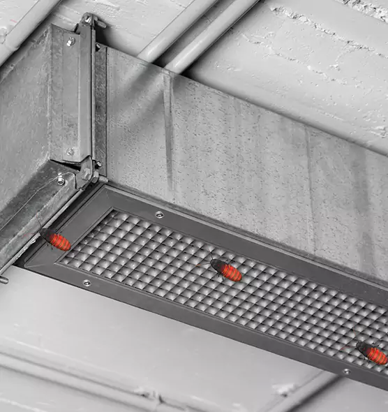 Affordable Insect Removal from Air Ducts in Bossier City, LA