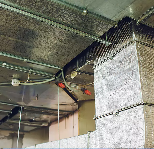 Why Homeowners & Businesses Trust Us in Bossier City, LA?