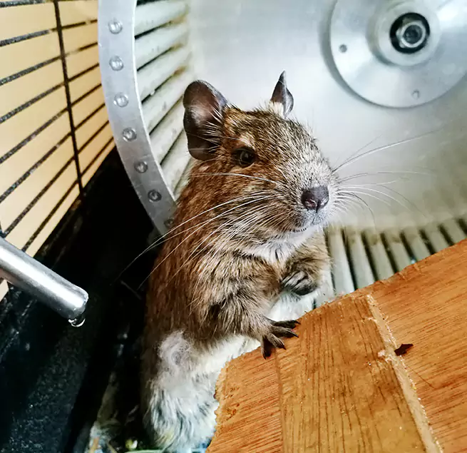 Why Homeowners & Businesses Trust Us Bossier City, LA?